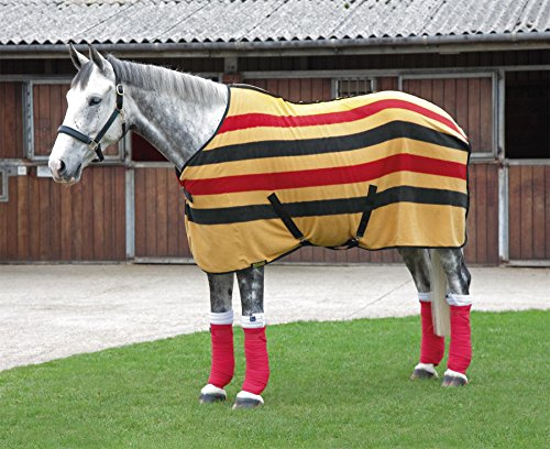Shires Tempest Original Newmarket Fleece Rug - Newmarket Stripe