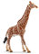 schleich WILD LIFE | Giraffenbulle 14749 | detailgetreue Tierfiguren | Zoo Spielzeug | tolles Geschenk für Jungen und Mädchen | Deko für Geburtstag | Spielfigur ab 3 Jahren | 13 x 4 x 17 cm