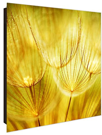 banjado® Großer Schlüsselkasten Glas/Schlüsselbox 30cm x 30cm mit 50 Haken - Motiv Pusteblumen Gold/Schlüsselkasten modern für Schlüsselaufbewahrung mit beschreibbarer, magnetischer Glastür