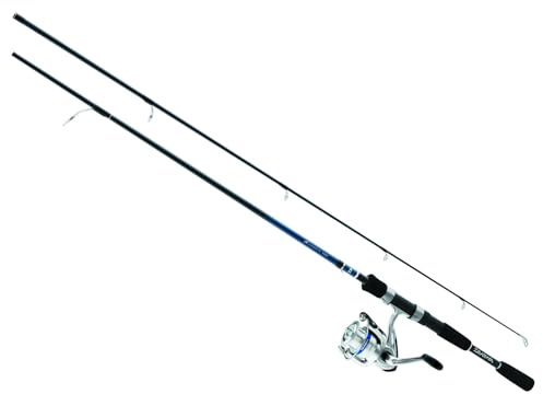 Daiwa DSK20-2B/F602ML D-Shock Süßwasser-Spinning-Kombination, 2 Lager, 15,2 cm Länge, 2-teilige Stange, mittel/leichte Leistung