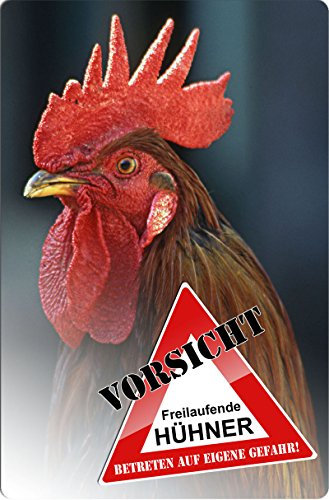 +++ HAHN Huhn Hühner - Metall WARNSCHILD Schild Hundeschild Sign - UHN 01 T3