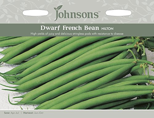 Johnsons Dwarf French Bean Hilton