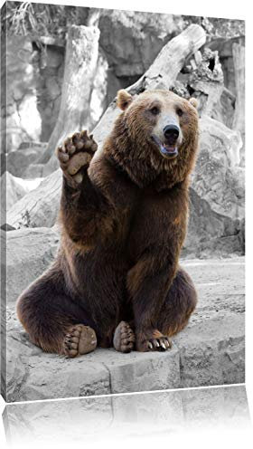 Pixxprint Dicker Bär SAGT Hallo B&W, Größe: 100x70cm, Leinwandbild, fertig gespannt, Wandbild, Dekoration, Kunstdruck, kein Poster