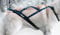 Northern Howl X-Back Zuggeschirr Fuer Bike-, Skijoring, Dogscooting, Schlitten, Blaue Pfoten (XL)