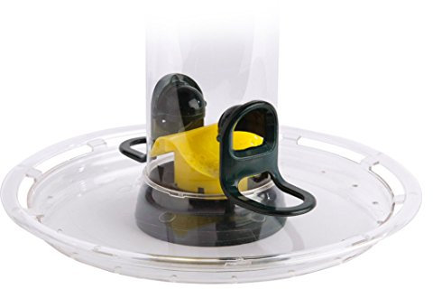 Small Seed Tray for Garden Bird Feeders - Jacobi Jayne® BigEasy™ Clear Seed Tray - Large Seed Tray Attaches to BigEasy™ Feeders to Catch Seed Blends and Mixes.