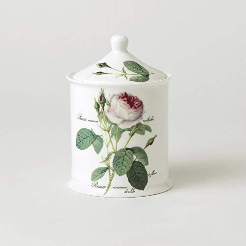 Porzellandose Cotton Jar Redoute Rose Roy Kirkham 15cm