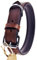 Schnüffelfreunde Halsband für Hunde aus Leder, Hundehalsband für den großen, mittleren und kleinen Hund, Lederhalsband gepolstert, robust (M - 28-36cm, Braun)