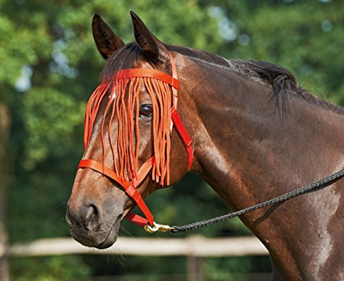 Busse everline Halfter WEIDE-FRANSEN, rot, Warmblut
