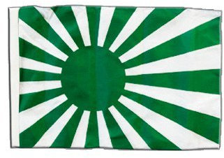 Digni® Drapeau supporteur Vert Blanc 30 x 45 cm