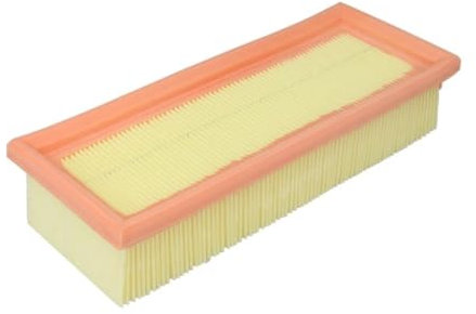 Filtron AP076 - Filtro dell'aria