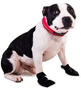 NON-stop dogwear Solid Strumpf (S)