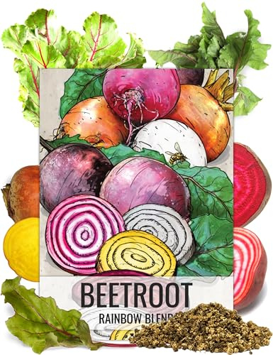 Seed Needs Rainbow Beet Seeds for Planting 8 Varieties | 1,500+ Heirloom Seeds Beet Beta Vulgaris Non GMO Untreated | Great Home Garden Favorites Vegetable Beet Seed | Bulk