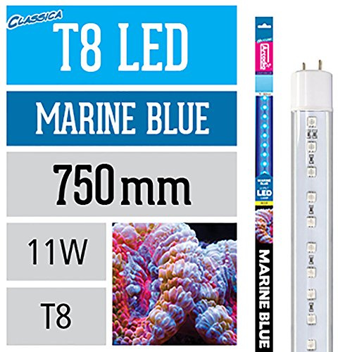 Arcadia FEB25 T8 LED-Lampe