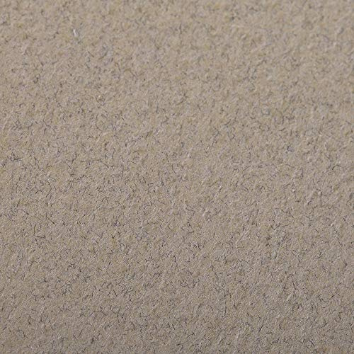 Clairefontaine 93856C Packung (mit 25 Bögen Zeichenpapier Etival Color, DIN A4, 21 x 29,7 cm, 160g, gekörnt, ideal für Trockentechnik und Einrahmen) champagner