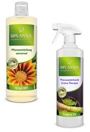BIPLANTOL Einsteiger Set