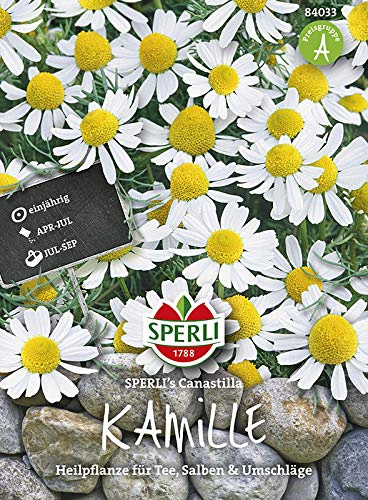 Sperli-Samen Kamille SPERLI's Canastilla