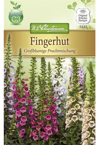 Chrestensen Fingerhut 'Großblumige Prachtmischung'