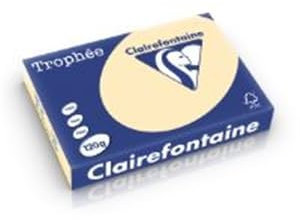 Trophäe 3 Stück Kopierpapier 250 Blatt Papier 120 g A4 210 x 297 mm FSC zertifiziert chamois