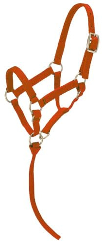 Tough1 Miniature Nylon Halter - Red - Large