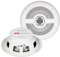 Casse Altoparlanti per Nautica Renegade RXM52 Marine & OUTDOOR 2 vie 13 cm buone Per Filodiffusione controsoffitto griglia bianca