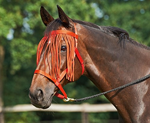 Busse Weide - Halfter mit Fransen