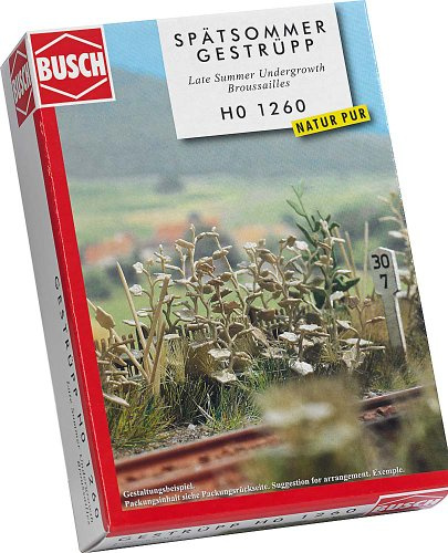 BUSCH 1260 - Spätsommerliches Gestrüpp