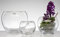 Glasschale FISH BOWL Glas Schale Glasvase Goldfischglas Ø 9,5 cm
