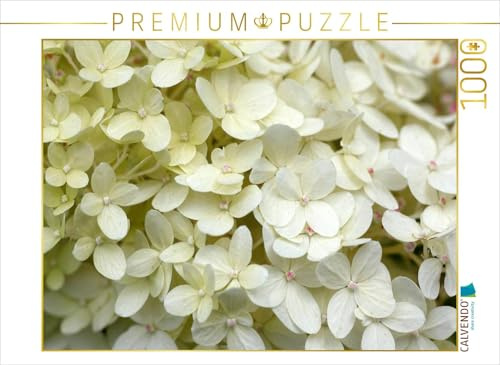 CALVENDO Puzzle Weiße Hortensie | 1000 Teile Lege-Größe 64 x 48 cm Foto-Puzzle für glückliche Stunden