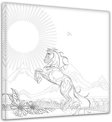 Pferd - Ausmalbild auf Leinwand, aufgespannt auf Rahmen - Quadrat-Format - 30x30 cm