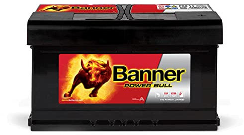 Banner P8014 Power Bull Batterie 110 Calciumtechnologie, Auslaufschutz und Rückzündsicherheit