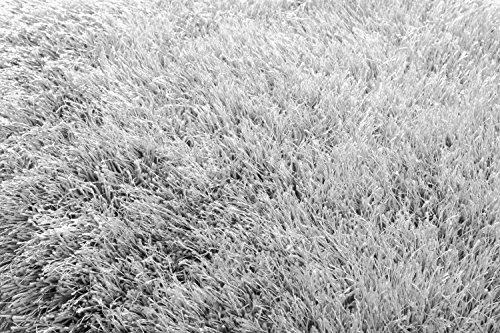 Cats Collection Shaggy Uni Silbergrau 240 x 340