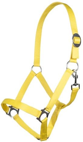 HKM Stars Economy Softice Halfter Neon gelb Vollblut