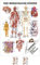 Sport-Tec Der menschliche Körper Mini-Poster Anatomie 34x24 cm medizinische Lehrmittel