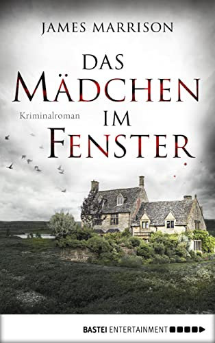 Das Mädchen im Fenster: Kriminalroman