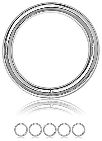Ganzoo O-Ring Metall für Hunde-Leine, 32mm Innen-Durchmesser, 5 Stück, Stahlring, legierter Stahl, nicht rostend, Rund-Ringe für Paracord 550 Halsband, Handtasche, Metallring, Basteln, Farbe Silber