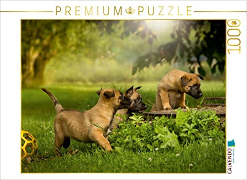 CALVENDO Puzzle Hundekinder entdecken die Welt... | 1000 Teile Lege-Größe 64 x 48 cm Foto-Puzzle für glückliche Stunden