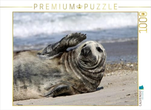 CALVENDO Puzzle Winkende Robbe | 1000 Teile Lege-Größe 64 x 48 cm Foto-Puzzle für glückliche Stunden