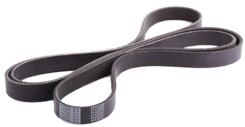 JAPANPARTS DV-6PK2245 Keilrippenriemen Kompatibel mit NISSAN X-TRAIL T30 117206N200 LFG115909B 9091602231