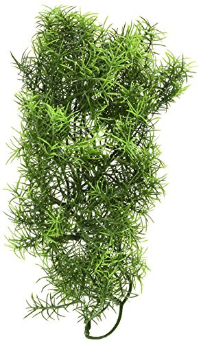 Zoo Med BU-28 Cashuarina, Medium