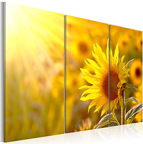B&D XXL - Wandbilder XXL Blumen 120x80 cm Vlies Leinwandbild 3 Teilig Kunstdruck modern Wandbilder XXL Wanddekoration Design Wand Bild - Sonnenblume gelb Feld Natur 030210-23