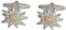 Manschettenknöpfe Edelweiss bicolor glänzend ca. 20 mm Durchmesser schönes Trachten Accessoire + Geschenkbox- schönes bayrisches Accessoire für die Umschlagmanschettenknöpfe