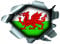 Speed Demons Pride Burst RIP Torn Tear Sticker Graphic SELF Adhesive for Any Surface Including LAPTOPS and Cars - Wales Welsh Flag Football Rugby