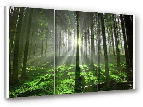 Visario Leinwandbild 3-teilig XXL 150x90 cm 1130 - Wald mit Sonnenstrahlen - Licht zwischen hohen Stämmen - Wandbild-Set je 50x90 cm fertig aufgespannt auf Holzrahmen