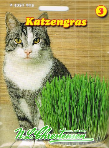 5 Stück Katzengras Sparpack Saatgutmischung 200g