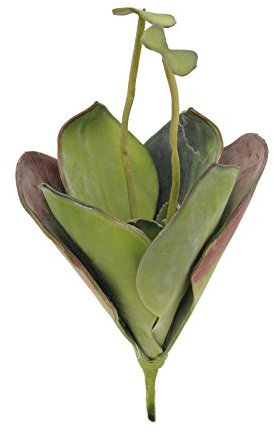 EUROPALMS Seerose (Eva), Kunstpflanze,geschlossen, grün, 45cm | Weiche Seerosenknospe mit Soft-Touch-Blättern - schwimmfähig