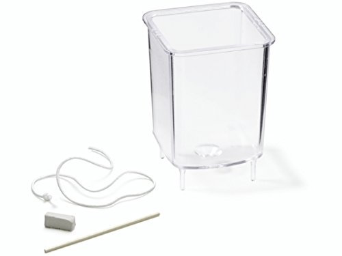 Knorr Prandell 45 x 35 mm Kerze, quadratisch, transparent