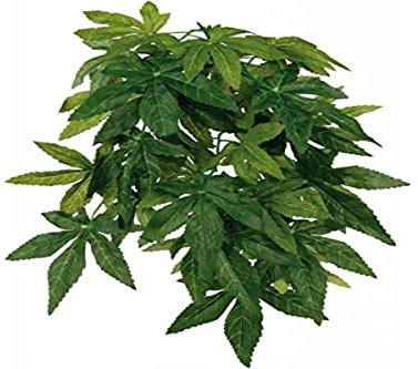 Trixie Abutilon Plante en Soie pour Reptile/Amphibien Diamètre 20 × 30 cm
