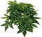 Trixie Abutilon Plante en Soie pour Reptile/Amphibien Diamètre 20 × 30 cm