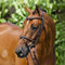 HORZE Pferde Trense Constance, Trensenzaum mit Zügel für Warmblut, Vollblut und Pony, Braun, C