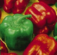 Sweet Bell Pepper - Californian Wonder - 40 seeds